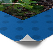 ドア我々ドア写真ポスターを開く ポスター (角)