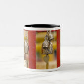 ドイサテップ寺の鐘 ツートーンマグカップ (中央)