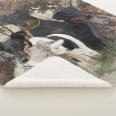 ドイチェジャグテリアスクエアウォールクロックコーヒームー シェルパブランケット (3/4)