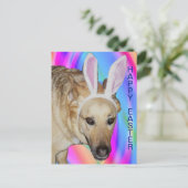 ドイツおもしろいの羊飼い犬とイースターバニーの耳 シーズンポストカード (スタンド正面)