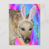 ドイツおもしろいの羊飼い犬とイースターバニーの耳 シーズンポストカード (正面)