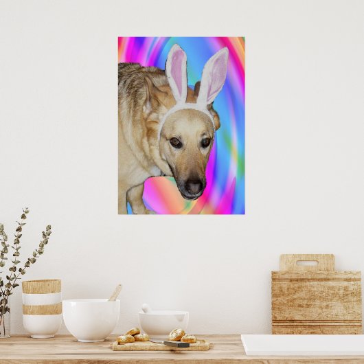 ドイツおもしろいの羊飼い犬とイースターバニーの耳 ポスター (キッチン)