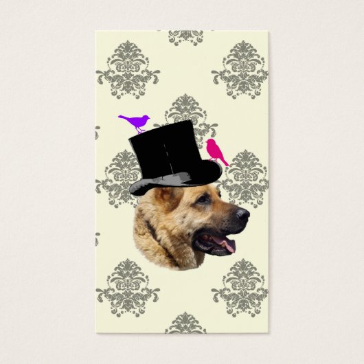 ドイツおもしろいの羊飼い犬 (正面)