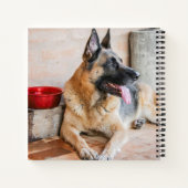 ドイツのシェパードが水盆地で休息 ノートブック (裏面)