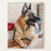 ドイツのシェパードが水盆地で休息 プランナー手帳 (裏面)