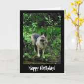 ドイツのシェパードの海岸；ハッピーバースデー カード (黄色い花)