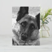 ドイツのシェパードパーティの招待状 招待状 (スタンド正面)