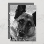 ドイツのシェパードパーティの招待状 招待状 (正面/裏面)