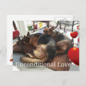 ドイツのシェパード無条件ラブポストカード ポストカード (正面/裏面)