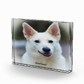 ドイツのシェパード犬 フォトブロック (右)