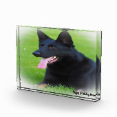 ドイツのシェパード犬 フォトブロック (右)