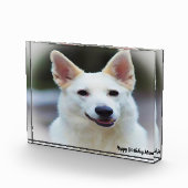 ドイツのシェパード犬 フォトブロック (右)