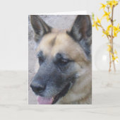 ドイツのシェパード誕生日カード カード (黄色い花)