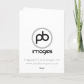 ドイツのシェパード カード (裏面)