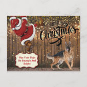 ドイツのシェパード・サンタクリスマスポストカード シーズンポストカード (正面)