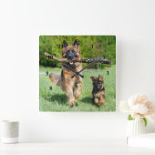 ドイツのシェパード スクエア壁時計 (ホーム)