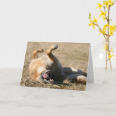 ドイツのシェパード・ドッグの挨拶状 カード (黄色い花)