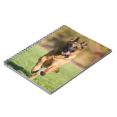 ドイツのシェパーランニングド· ノートブック (左側)