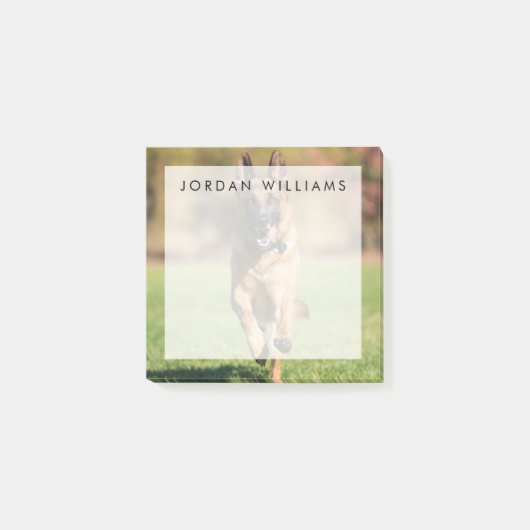 ドイツのシェパーランニングド· ポストイット (正面)