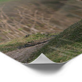 ドイツのシェファードダウンヒルを見て ポスター (角)