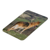 ドイツのシェファードダウンヒルを見て マグネット (左側)