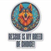 ドイツのシェルター犬 シール (正面)