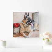 ドイツのシパードが水盆地で休息 スクエア壁時計 (ホーム)