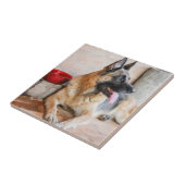 ドイツのシパードが水盆地で休息 タイル (側面)