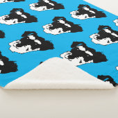 ドイツのシュナウザー シェルパブランケット (3/4)