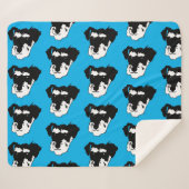 ドイツのシュナウザー シェルパブランケット (正面(横))