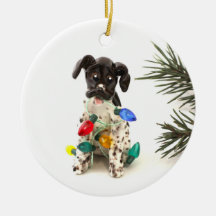 ドイツのショートポインタードッグクリスマスオーナメント