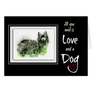 ドイツのスピッツ