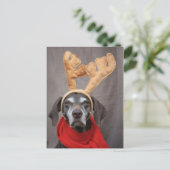 ドイツのトナカイ ポストカード (スタンド正面)