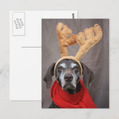 ドイツのトナカイ ポストカード (正面/裏面)