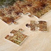 ドイツのブラウンシュヴァイグ公園。 ジグソーパズル (側面)