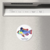 ドイツのブルーラム矮性中心磁石 マグネット (インサイチュ (食洗機))