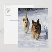 ドイツのランニング羊飼いの雪 ポストカード (正面/裏面)