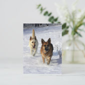 ドイツのランニング羊飼いの雪 ポストカード (スタンド正面)