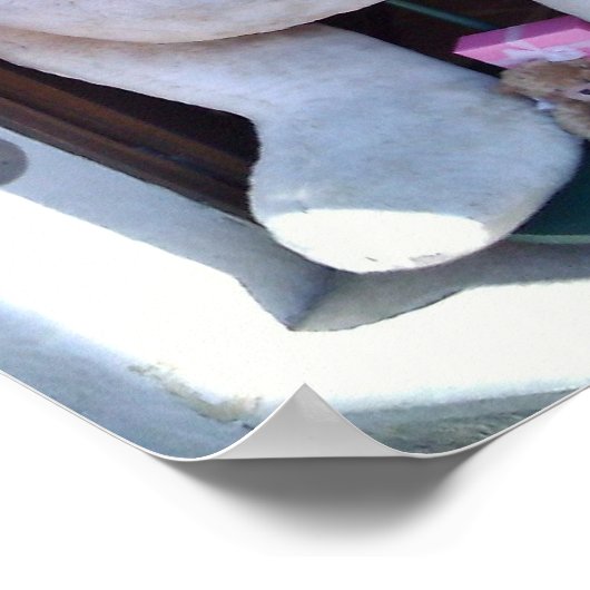 ドイツのローテンブルクで開催されたテディベア ポスター (角)