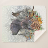 ドイツの冬の短いポインタ シェルパブランケット (正面(横))