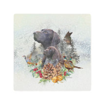 ドイツの冬の短いポインタ