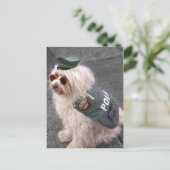 ドイツの愛犬（手錠つき） ポストカード (スタンド正面)