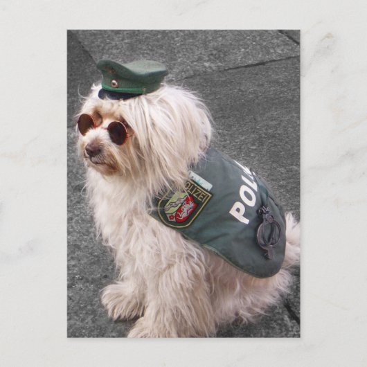 ドイツの愛犬（手錠つき） ポストカード (正面)