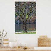 ドイツの湖に沿った静かなベンチ ポスター (キッチン)