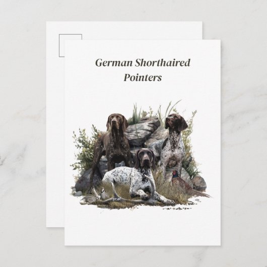 ドイツの短いポインタかドイツのクールザー インビテーションポストカード (正面/裏面)