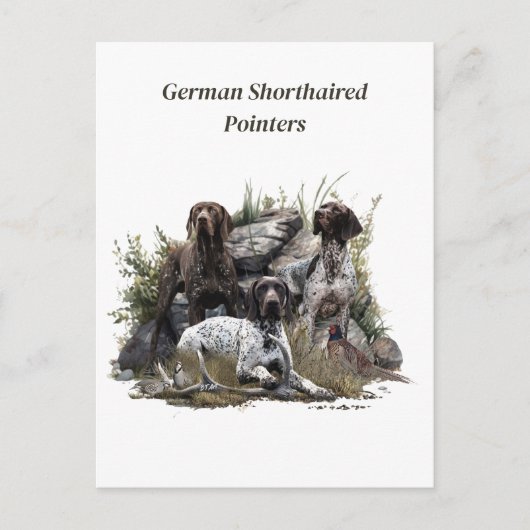 ドイツの短いポインタかドイツのクールザー インビテーションポストカード (正面)