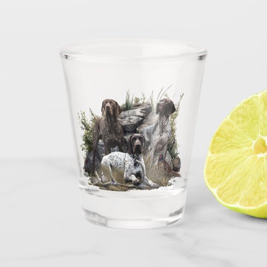 ドイツの短いポインタかドイツのクールザー ショットグラス (正面)