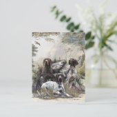 ドイツの短いポインタかドイツのクールザー ポストカード (スタンド正面)