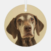 ドイツの短いポインタのクリスマス ガラスオーナメント (裏面)