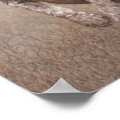 ドイツの短いポインタの子犬 ポスター (角)